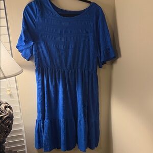 Royal Blue Textured Short Sleeve Dress